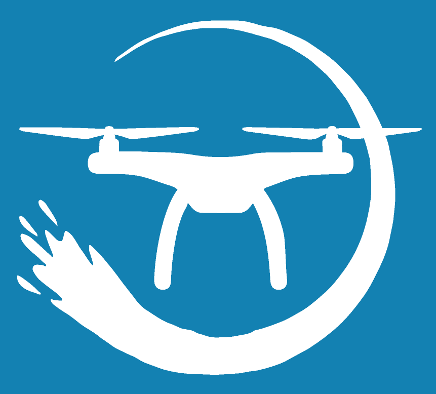 ProDrone